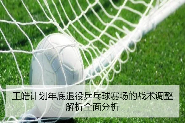 王皓计划年底退役乒乓球赛场的战术调整解析全面分析