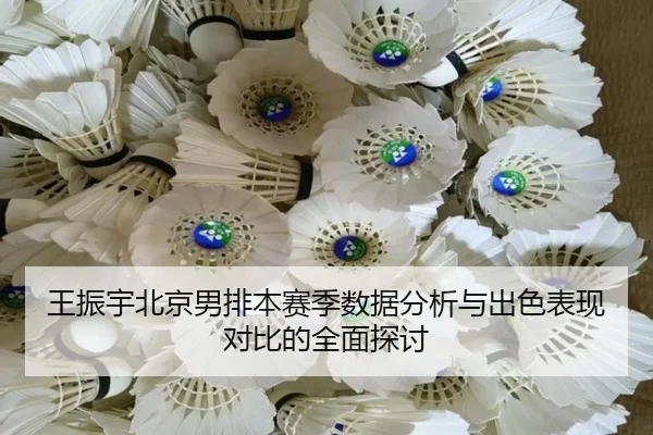 王振宇北京男排本赛季数据分析与出色表现对比的全面探讨